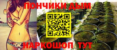 ПСИЛОЦИБИНОВЫЕ ГРИБЫ Абакан
