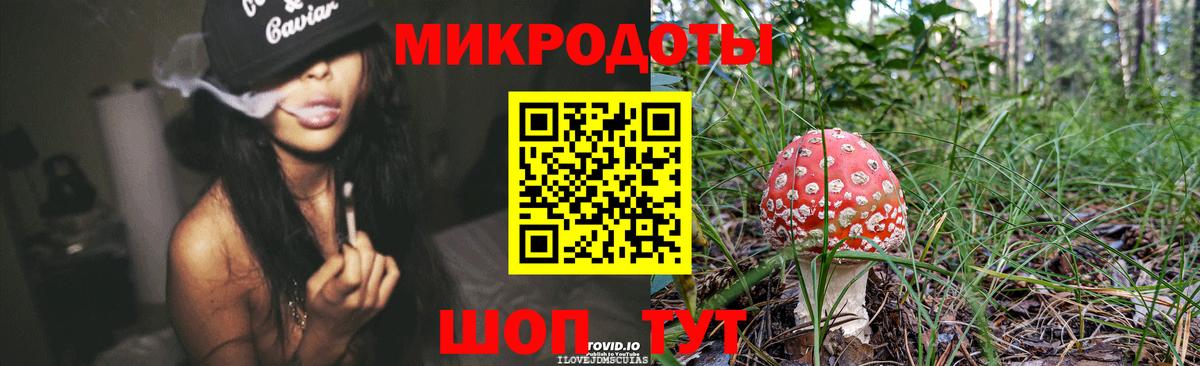 Псилоцибиновые грибы мицелий  Псилоцибиновые грибы мицелий  Россия  Вход с VPN 