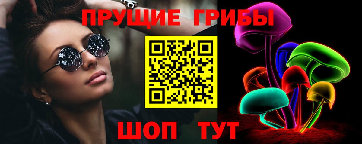 Псилоцибиновые грибы Cubensis Россия